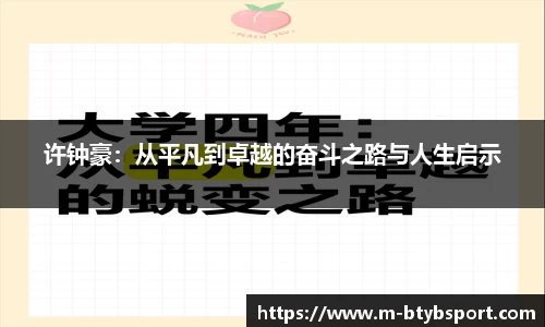 B体育